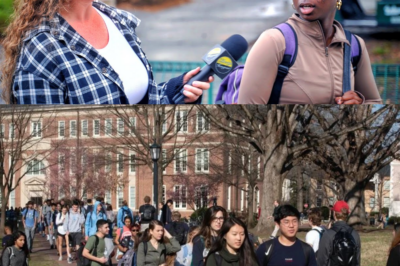 “Why Don’t You Go Home?” Foreign Students Say USA Is Unsafe
