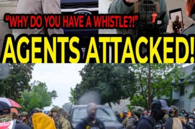 Minnesota Federal Agents Attacked During Immigration Enforcement Operations