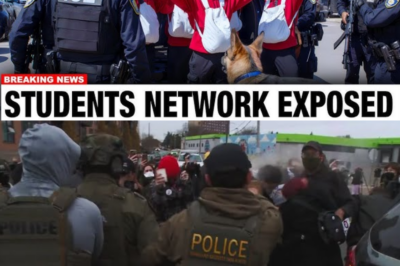 Federal Authorities Detain 19 Individuals Near Minnesota Mall During Immigration Enforcement Operation