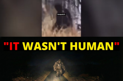 “Caught in the Wilderness:  Real Bigfoot Encounters That Will Make You Rethink Every Hike”