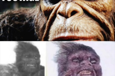 “Watch Now—Government Cover-Up of Bigfoot Encounter Exposed!”