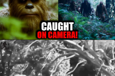 “13 Most Terrifying Bigfoot Encounters Ever Caught on Camera!”