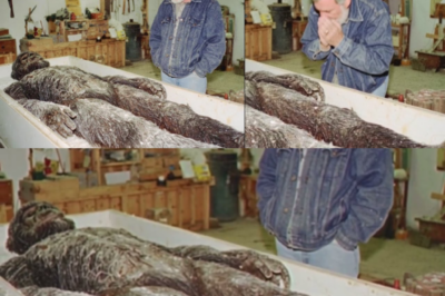 “1994 Kentucky Cave Disappearance: Was the Missing Speleologist Taken by a Hidden Force?”