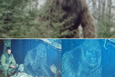 ‘BIGFOOT SAVED MY PARTNER’ – Veteran’s Sasquatch Encounter Story