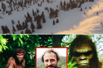 Chilling Bigfoot Encounter Shakes Veteran Survivalist in Alaska’s Wilderness!