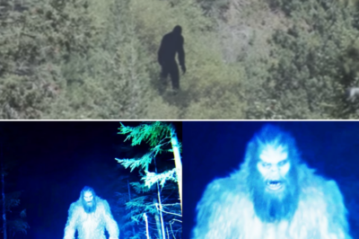 Hunter Finds Lost Hiker’s Remains and Disturbing Bigfoot Evidence After 10 Years!