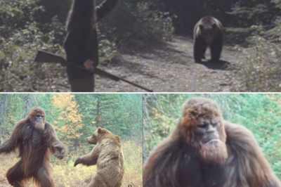 I Saved Bigfoot From a Grizzly Bear, Then Something Amazing Happened – Sasquatch Encounter