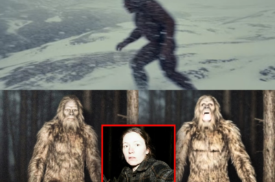 Bigfoot Spoke to Her… This Woman Caught Sh0.cking Footage of a Talking Sasquatch