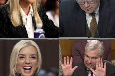 Congress ERUPTS In LAUGHTER As Pam Bondi HUMILIATES Senator Whitehouse in Brutal Hearing Showdown!