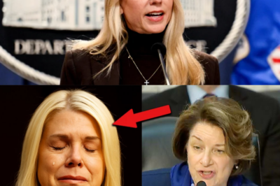 Pam Bondi SHUT DOWN in BRUTAL Smackdown Over DOJ Lies, Cover-Ups, and Trump Interference