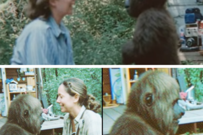 Woman Meets a Talking Bigfoot Child, Then Something Amazing Happened -Woman Meets a Talking Bigfoot Child, Then Something Amazing Happened –