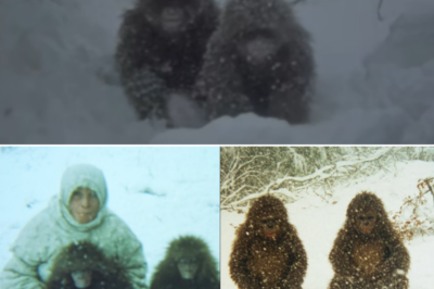 Old Woman Finds 2 Freezing Infant Bigfoots—Next Day, Whole Tribe Stood at Her House