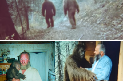 He Secretly Raised a Baby Bigfoot in His Home. 10 Years Later the Mother Showed Up