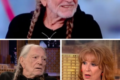 Willie Nelson SHUTS DOWN Joy Behar — She Quits The View LIVE!