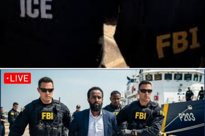 FBI & DHS Breach Seattle Port Authority Office — 2.2 Tons Of Dr.u.gs, $380M Network | FBI Files