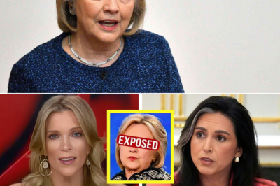 Hillary Clinton STUNNED As Megyn Kelly & Tulsi Gabbard CALL Her Out LIVE!