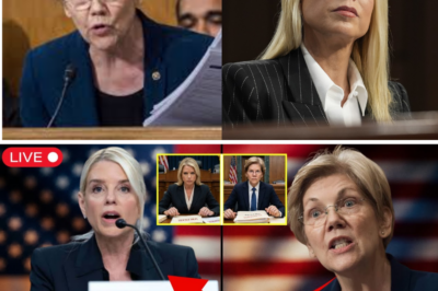 Elizabeth Warren Exposes $847K Russian Transfers — Pam Bondi Freezes in 83 Seconds