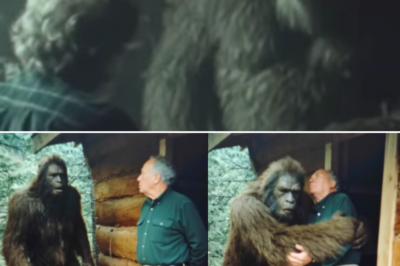 A Bigfoot Begged a Man for Help in Perfect English. What Happened Next Will Shock You!