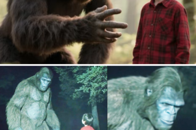 Sasquatch Protected a Lost Kid in Appalachian Mountain Forest – Sasquatch Encounter Story