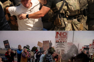 Federal Agents Arrest More Criminals — Mayor and Protesters Push Back