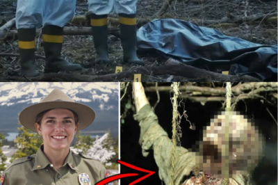 Unsolved Mysteries: 3 Park Rangers Who Vanished or Died Under Bizarre Circumstances