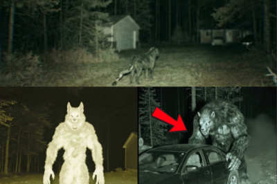 Terrifying Tales: The Two Creepiest Dogman Encounters That Will Haunt You!