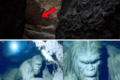 Cavers Broke Into a Chamber With a Hibernating Bigfoot — The Footage Is Still Classified – Story