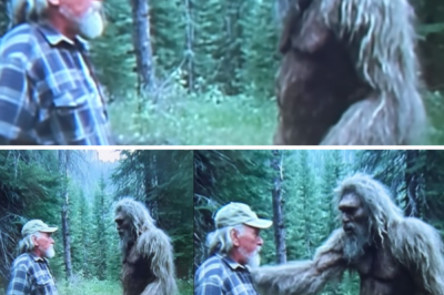 Journalist Finds an 80-Year-Old Bigfoot Deep in the Forest. It Explained Why No One Ever Finds Them
