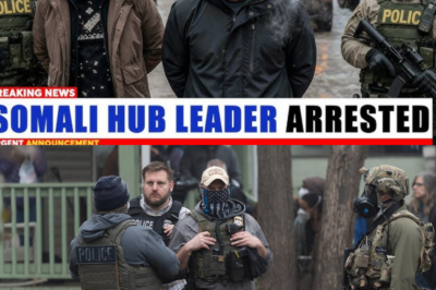 FBI and ICE Raid Minnesota Business Hub, Arrest Alleged Crime Figure and Uncover 27-Company Network