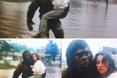 During the Flood of 1999, A Firefighter Saw Bigfoot Carrying People to Safety – Sasquatch Story