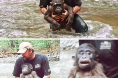 Footage Shows Man Saving a Small Bigfoot From River, But It Gets Terrifying Quickly