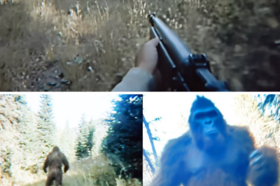 Veteran Ranger’s Bone-Chilling Bigfoot Encounter in the Woods Uncovered Truth