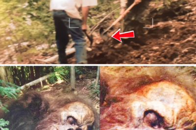 Archeologist Uncovers Buried Bigfoot and Finds Out Truth About Them