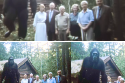 This Family Hid a Bigfoot for 50 Years. Then the Feds Found Out. What They Did…
