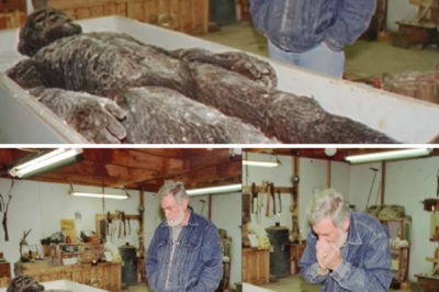 He Shot a Bigfoot in 1975. He Kept the Body Hidden in His Barn. What Happened Next