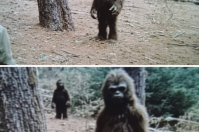 A Little Girl Raised Three Baby Bigfoots, But When They Grew Up Something Happened to Her