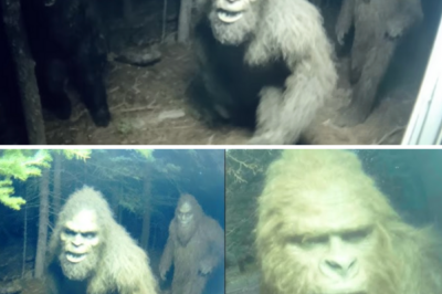 This Woman Recorded a Bigfoot Tribe Near Her House