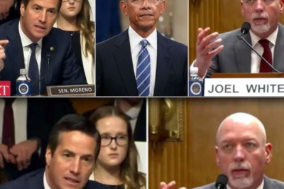 ‘Stop Using It for Votes!’: Sen. Moreno Exposes Obamacare ‘Lies’ in Explosive Hearing