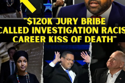 How the Racism Card Enabled $1 Billion Fraud: Minnesota Agencies Cowered in Fear