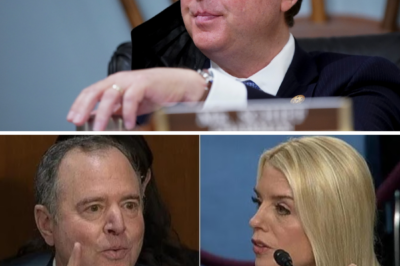 Adam Schiff DESTROYS Pam Bondi in HEATED Hearing Over Tom Homan’s $50K Bribe Scandal