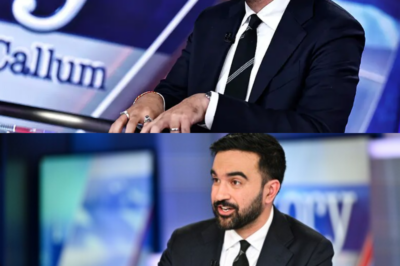 Fox News Interview with Zohran Mamdani Sparks Heated Debate and Online Reaction