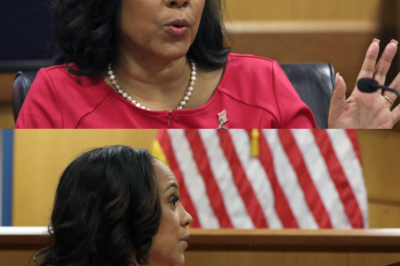 Fani Willis Faces Heated Moment During Senate Testimony as Tensions Boil Over