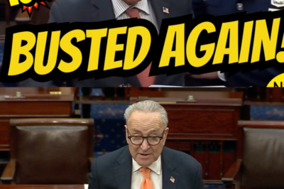Chuck Schumer Accused of Misleading on Senate Floor and Gets Called Out by Critics