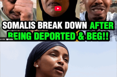 Somalis BREAK DOWN After Facing Deportations & Ask For Help After Wanting To Replace Blk Americans