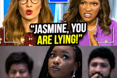 Jasmine Crockett COLLAPSES Live on MSNBC as host CALLS HER OUT for Lying!!!