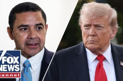 Trump Slams Cuellar’s Re-Election Bid After Pardon: ‘Lack of LOYALTY’