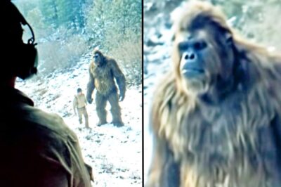 Helicopter Pilot Films GIANT SASQUATCH with a Hiker – Bigfoot Encounter Story