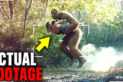 The SCARIEST Bigfoot Sightings Ever Caught On Real Life