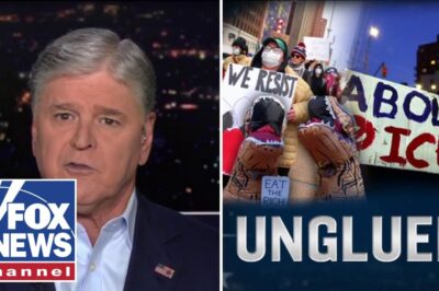 Hannity: ‘THIS Is Becoming Even More Unhinged!’ Host Ramps Up Criticism of Political Chaos