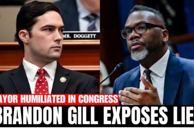 Brandon Gill Exposes Chicago Mayor’s Lie—Humiliated in Congress